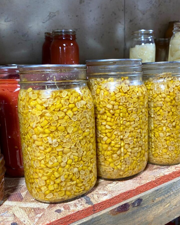 three mason jar quarts full of pressure canned corn sitting on a pantry shelf