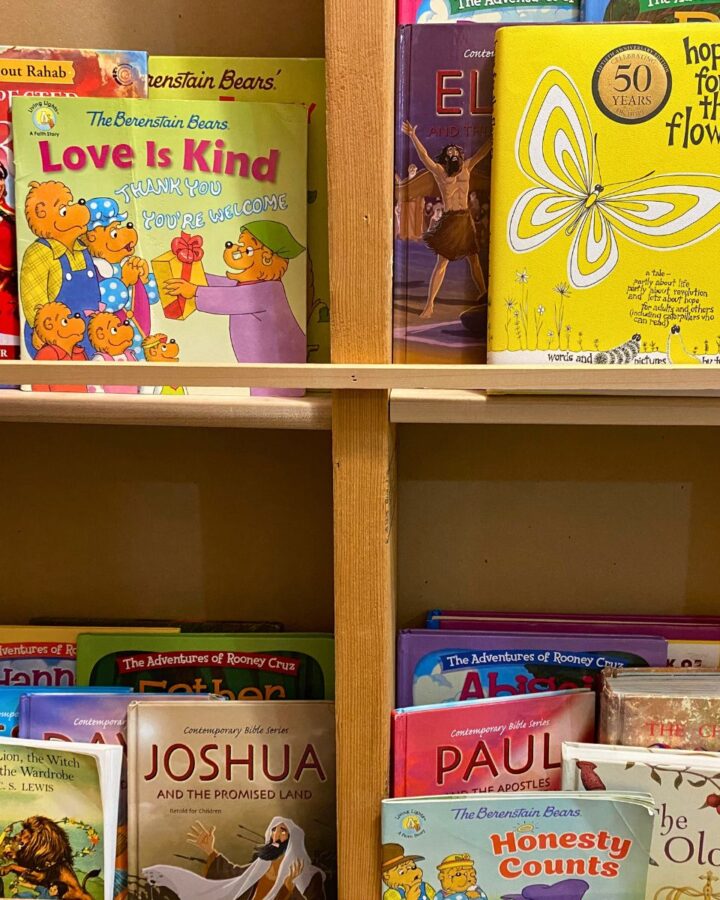 books in a homeschool library lined on a shelf