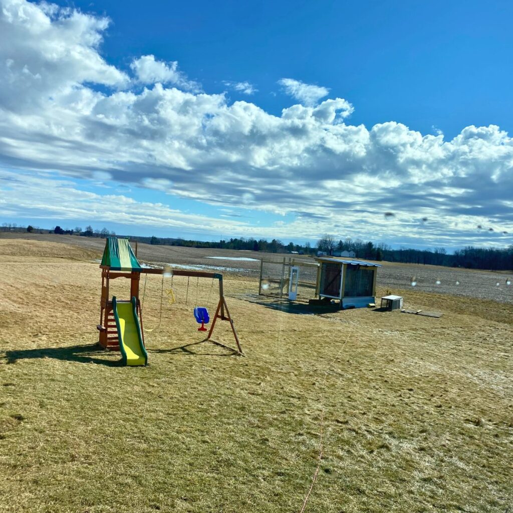 A faraway picture of a swingset and a chicken coop outside