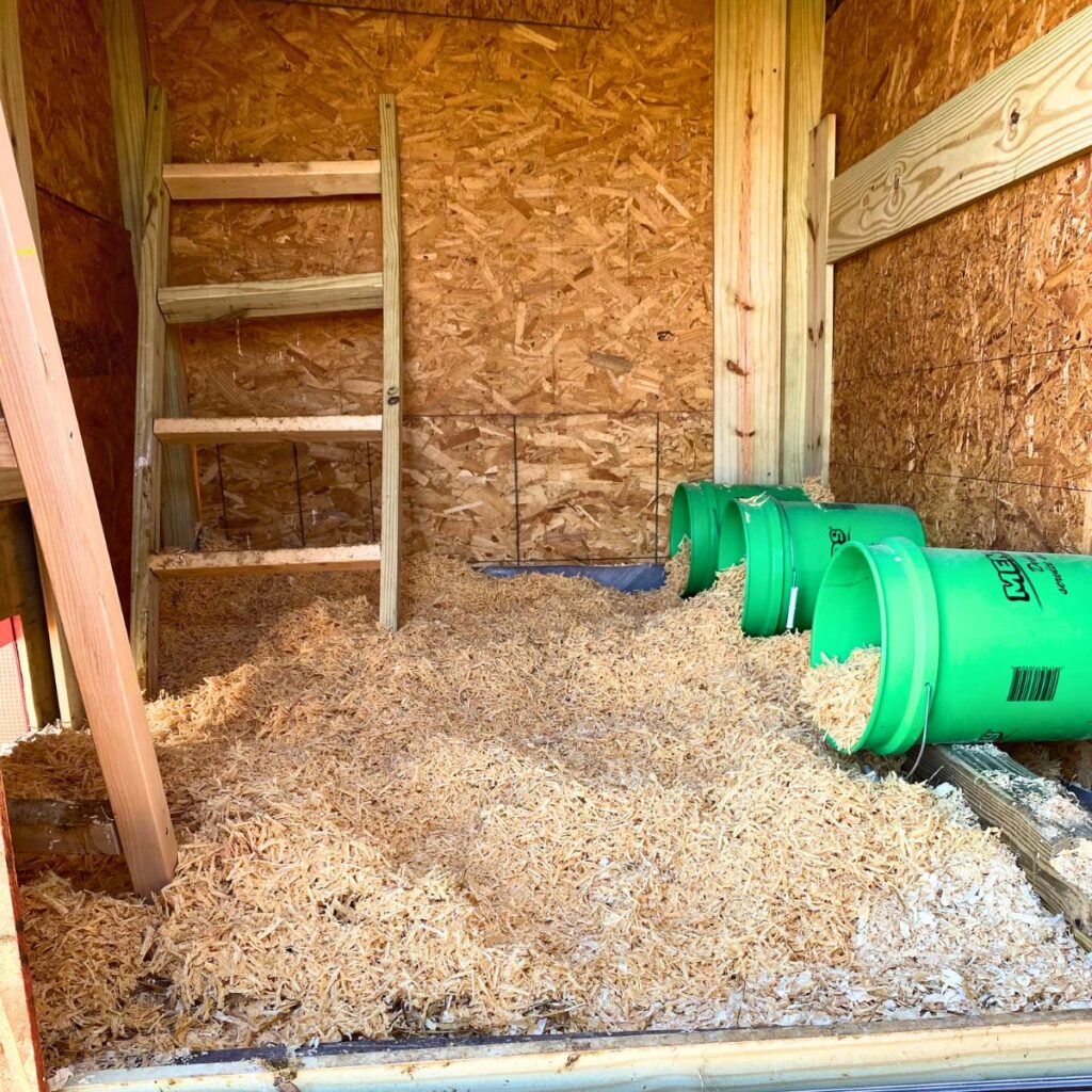 fresh wood shavings as chicken coop bedding 