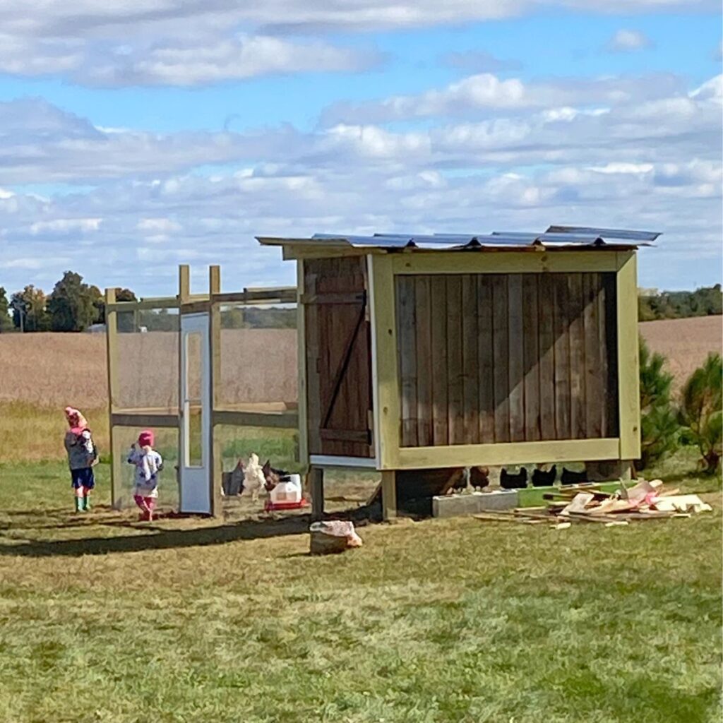 Two children walking along the outside of a chicken coop and run