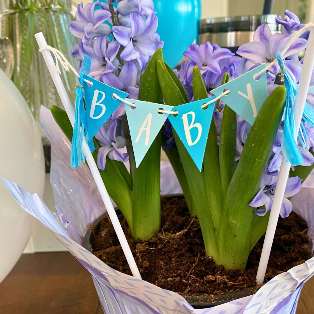 Blue potted flowers with a banner that says "Baby" in blue