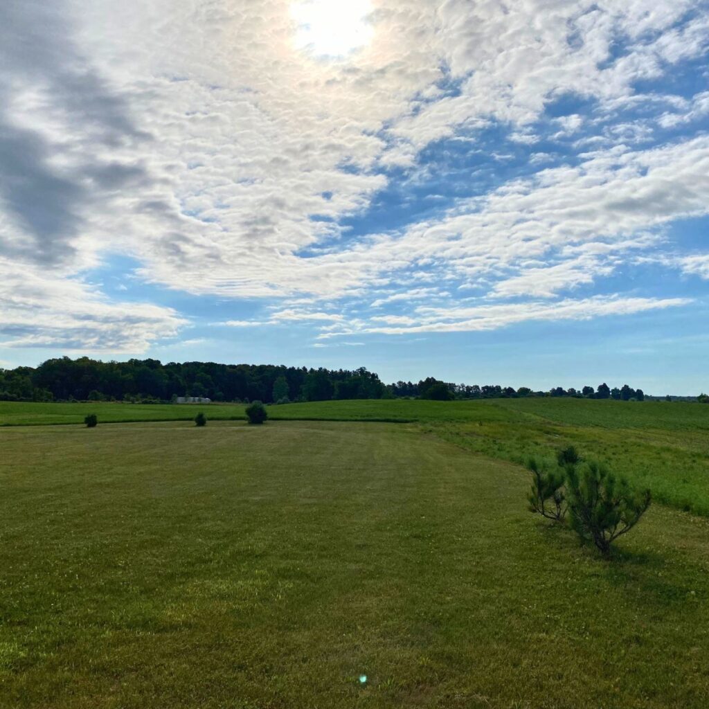 Empty lot surrounded by fields with bright blue skies and lots of fluffy white clouds