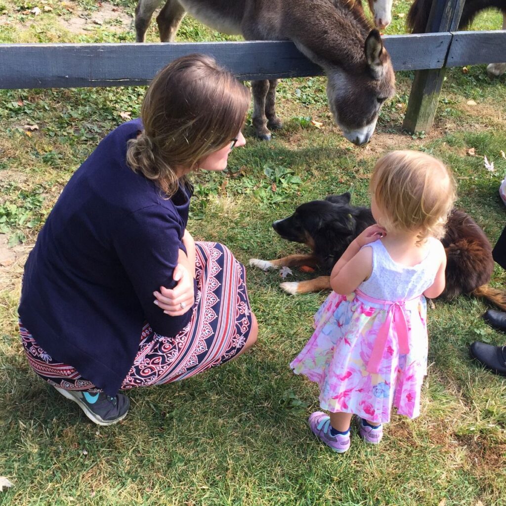 Woman crouching on the ground talking to a toddler girl while looking at a sheepdog and a donkey behind the fence