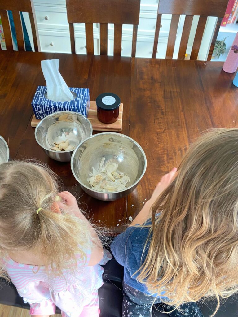 Two young girls peeling garlic for chicken scraps to boost chicken health and immunity