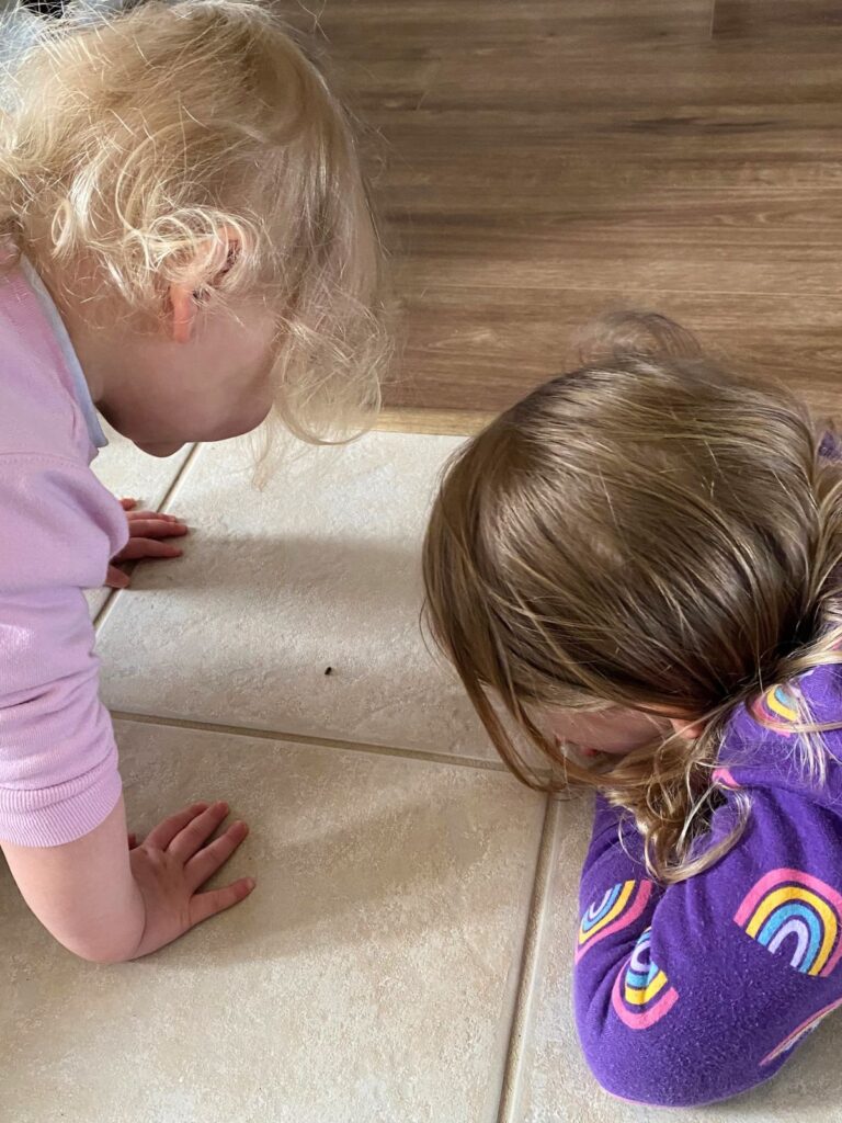 Two young toddlers staring at a bug inside the house on the floor 